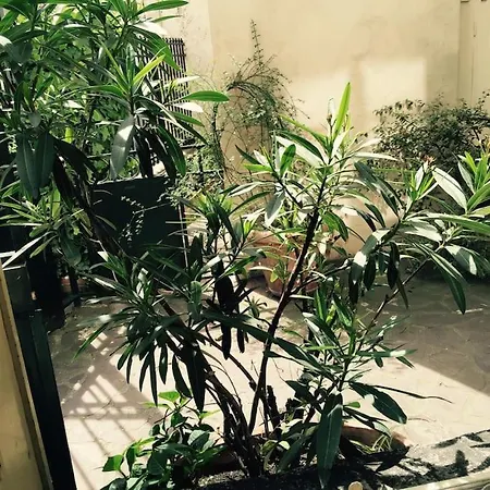 Elegant Flat In The Historic Center Of Appartement *